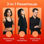 Himalayan Shilajit Gummies for Men & Women - Shilajit with KSM-66 Ashwagandha & Shatavari for Energy, Hormone & Stress Support - Vegan, Sugar-Free, Non-GMO Adaptogens - Black Currant Inspired - 60ct