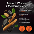 Himalayan Shilajit Gummies for Men & Women - Shilajit with KSM-66 Ashwagandha & Shatavari for Energy, Hormone & Stress Support - Vegan, Sugar-Free, Non-GMO Adaptogens - Black Currant Inspired - 60ct