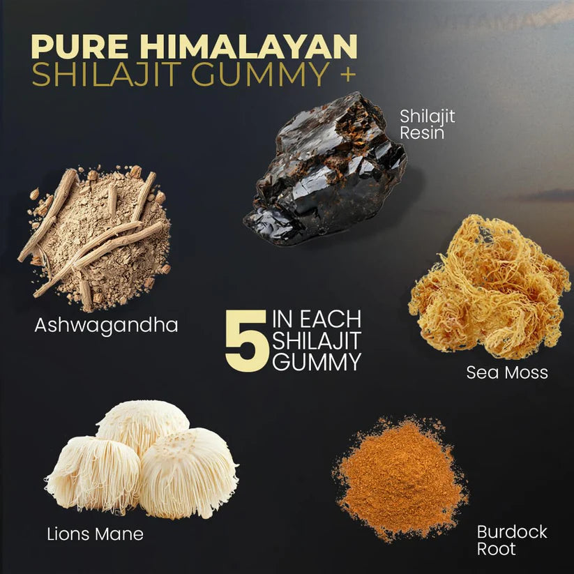 Pure Himalayan Shilajit Resin 30G